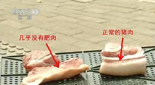 (添加瘦肉精猪肉(左图)与正常猪肉(右图))