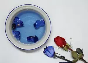 人工染色的玫瑰温水泡一段时间后褪色