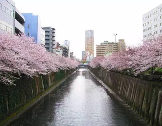 东京街头