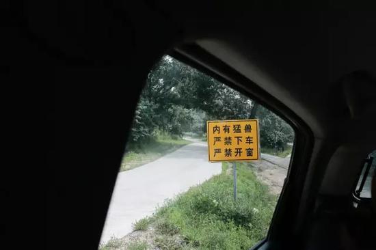 ▲2017年7月17日,一年前事发的东北虎园内立着“内有猛兽,严禁下车,严禁开窗”的警示牌。