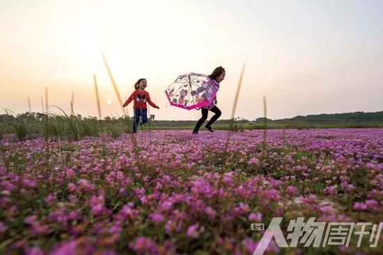 江西鄱阳湖都昌湿地花海,两个小女孩开心地玩耍