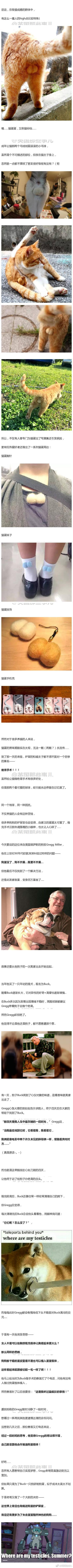 囧哥:土味二次元！快手收购A站了，宅舞社会摇本一家