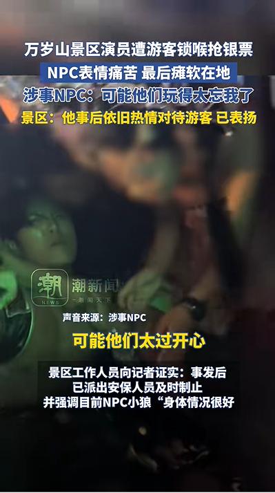 “男游客突然从背后对工作人员锁喉、捂嘴，将其摁倒在地，其他游客哄抢”，河南万岁山武侠城回应
