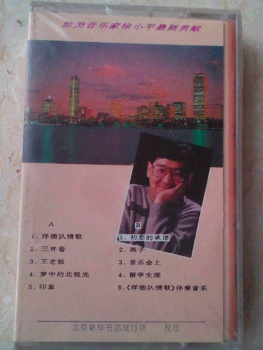 《洋插队情歌》没有洋起来。