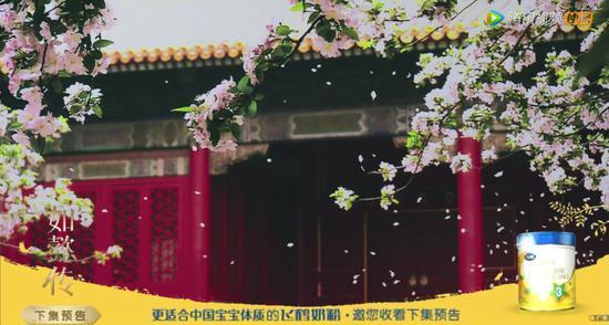 飞鹤奶粉的广告贯穿整集