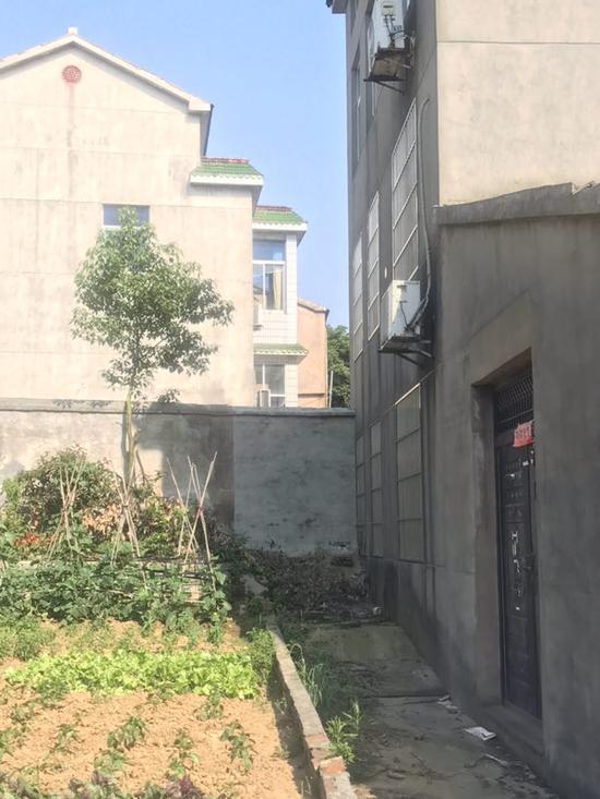 姐弟俩闹矛盾后,两家房子中间修了一堵墙。澎湃新闻记者 何利权 图