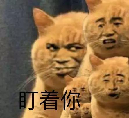 或许是上次意外