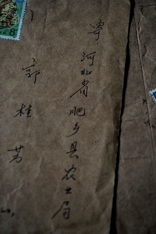 家人还留着30年前,有人写给郭桂芳的信。摄影:樊夫