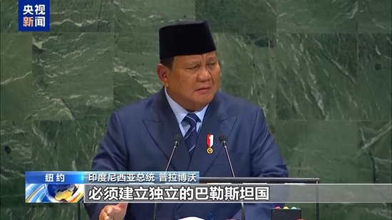 多国在联大就巴以问题谴责美以 呼吁落实“两国方案”