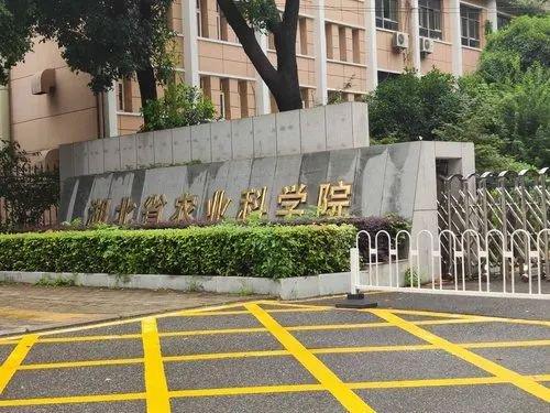应聘入围者笔试倒数面试第一?湖北官方通报→