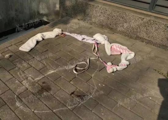 在狗摔下来的地方还有沾着鲜血的绳子