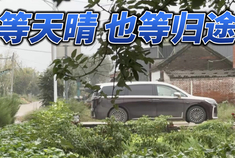 一辆车，一片玉米地，一场秋雨，等待最美的晴天