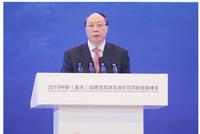 王永庆：陆海新通道可以统筹国际国内市场的资源