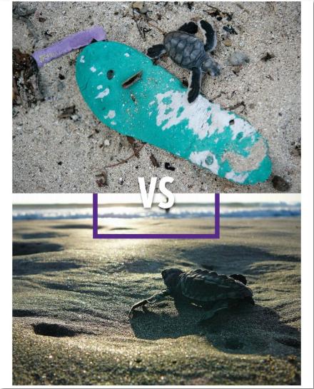 以上图片来源自WWF报告《净塑自然(No Plastic in Nature)》