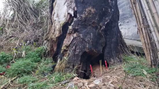 在村里几位老人的极力反对下,枯死的神树根才没被外地商人挖走,老人说要给年轻人留住念想和“根”