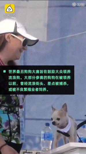 囧哥:你敢我就敢！为阻止未成年女儿穿超短裤，老爹穿同款威胁