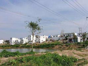 脱贫攻坚已进入冲刺阶段 “刷白墙”式虚假脱贫要不得