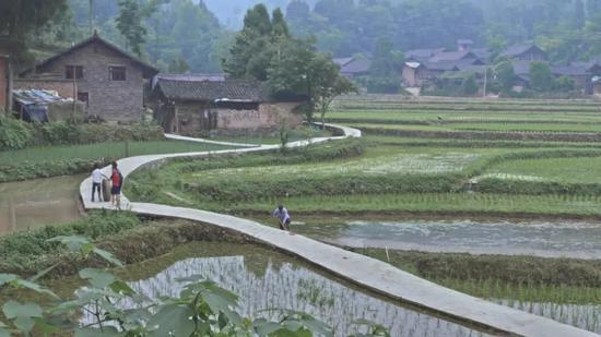 在很多人眼里,过去陌生的贵州,有一种别样的美感。/ 电影《路边野餐》