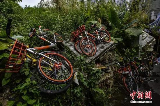 中新社记者陈骥旻摄来源:中新社