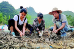 “高学历”遇上“最基层” 发生怎样“化学反应”