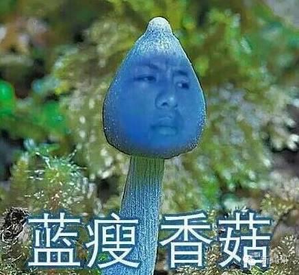 网络表情：蓝瘦香菇