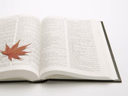 12月四级作文解析：出题方式有变 源自考研英语作文