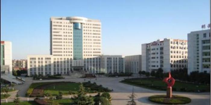 武汉轻工大学排名_武汉轻工大学(3)