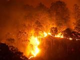 BBC媒体英语：澳大利亚 “灾难级” 林火仍在燃烧