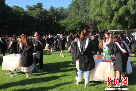 120张圆桌摆放在草坪上。 沈殿成 摄