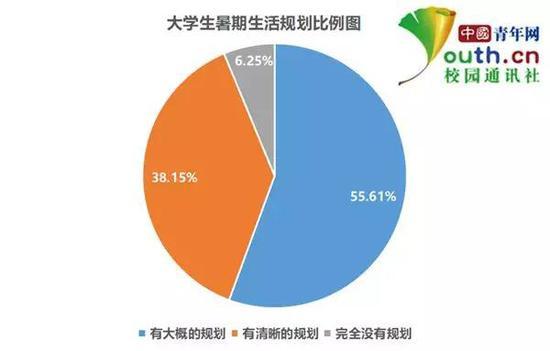 图为大学生暑期生活规划比例。中国青年网记者 李华锡 制图