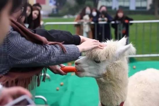 图片来源:《宁波晚报》
