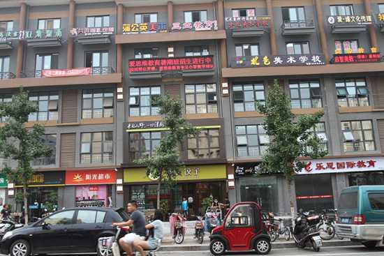 2016年7月17日,河南省许昌市,清虚街一栋公寓写字楼布满了各种文化公司、课外辅导班、教育培训机构的宣传广告牌,令过往市民和行人看得眼花缭乱。(资料图片)