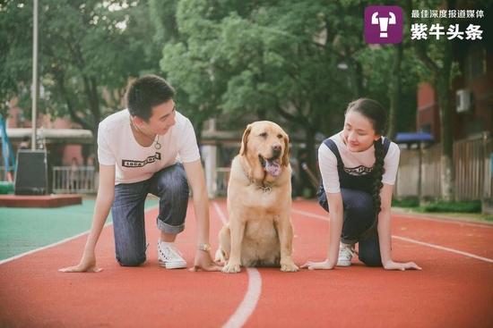 张晨和丈夫,还有那只带来缘分的导盲犬