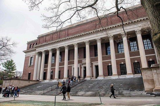 哈佛大学校园内 资料图 图源:视觉中国