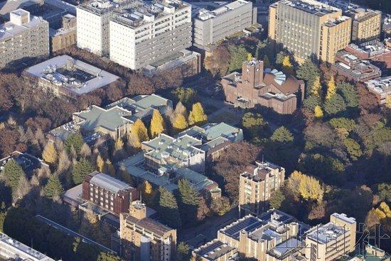 东京大学 资料图 图源:日媒