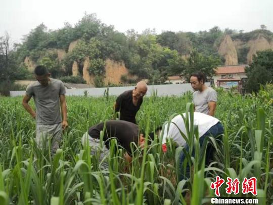 扎根农村搞生态农业的张杰,创业之初初心是传承农耕文明,推动三农兴旺,2018年成立公司,2019年开始建设耕兴生态农庄。 秦超 摄