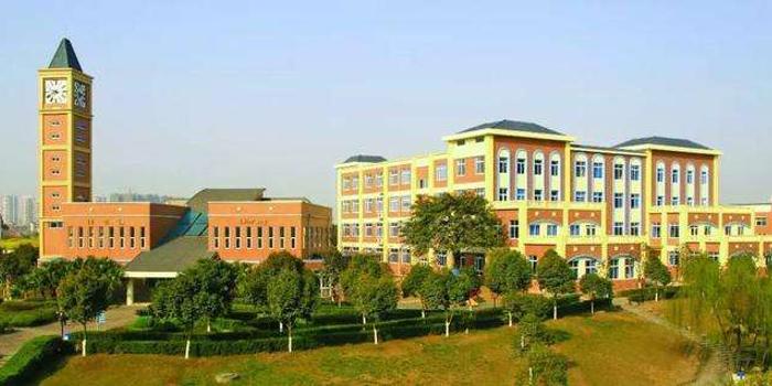 成都国际学校排名_成都美视国际学校图片(3)
