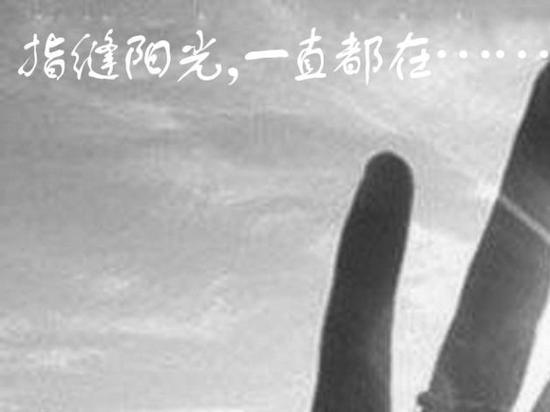 图片来自网络