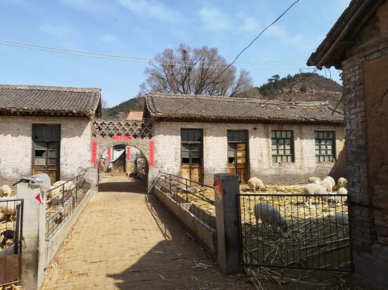 一所山区农村小学弃用后,被村民改造成了羊圈