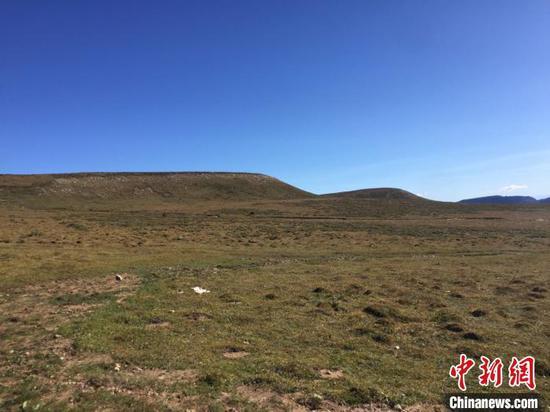 据调查数据显示,山西有天然草原6828万亩;图为山西荷叶坪亚高山草甸。 高瑞峰 摄