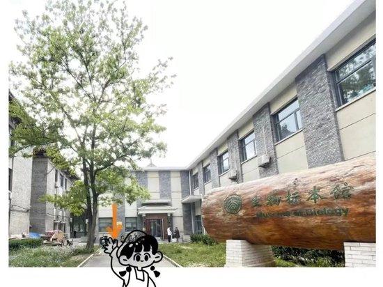 △北京大学生物标本馆