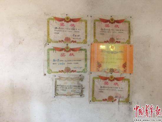 杨仁荣的奖状