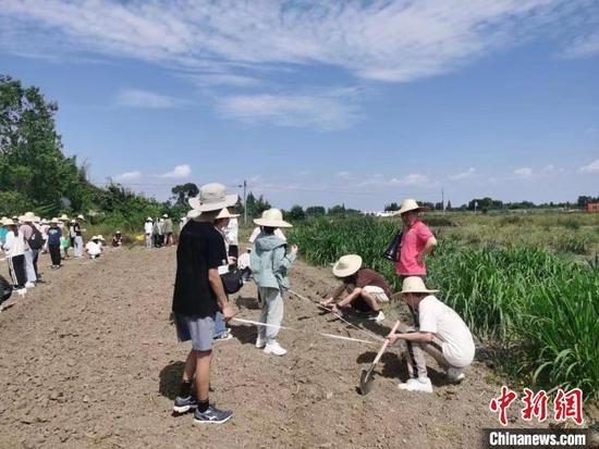 四川农业大学学生在干农活。 四川农业大学供图