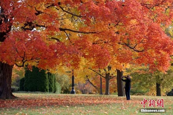 资料图:金秋时节加拿大各地正迎来赏枫季。图为10月15日,加拿大首都渥太华,游人在总督府内欣赏秋日景色。中新社记者 余瑞冬 摄