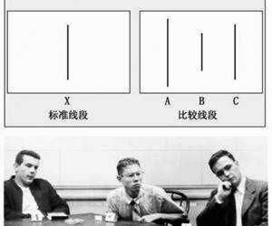 (从众效应:阿希实验)