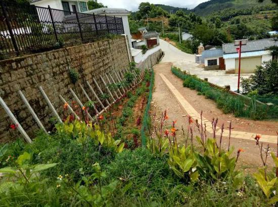 学校进校道路的绿化,由六年级学生负责管护。