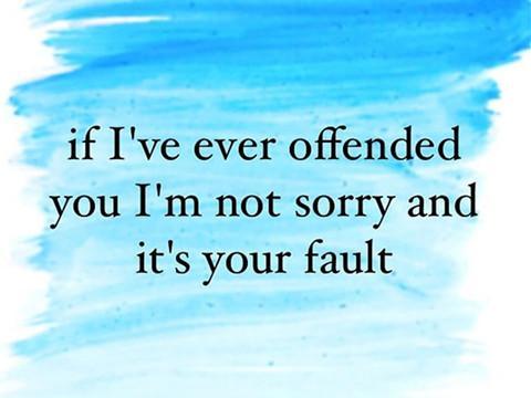 If I’ve ever offended you I’m not sorry and it’s your fault。