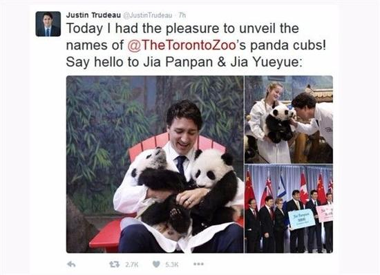 ▲ 加拿大总理特鲁多抱着两只熊猫宝宝,开心得嘴都合不上啦!