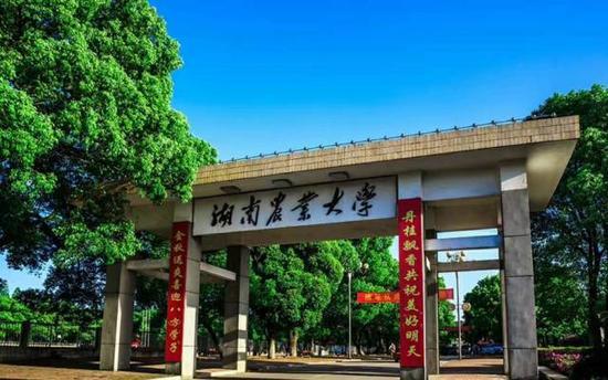 图:湖南农业大学 熊阳俊 摄