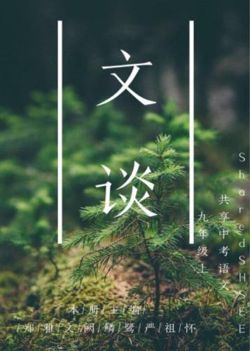 如何将“宝宝心里苦,但宝宝不说”用文言文表达?